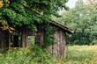 © Deirdre Malfatto/Stocksy - old overgrown shed in autumn