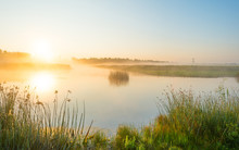 Shore Of A Misty Lake At Sunrise In Summer