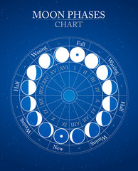 Wall Mural - moon phases flat vector background