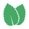 Two peppermint / spearmint mint or mentha leaves flat vector color icon for apps and websites