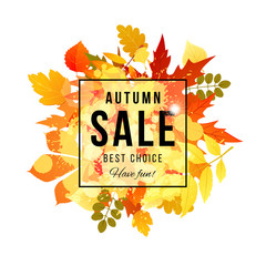 Wall Mural - Autumn sale best choice have fun banner