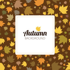 Wall Mural - Autumn leaves seamless pattern for new background