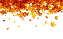 Autumn Background With Orange Leaves.