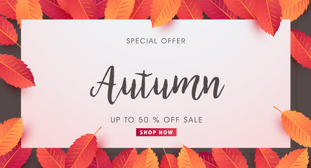 Autumn sale background layout decorate with leaves for shopping sale or promo poster and frame leaflet or web banner.Vector illustration template.