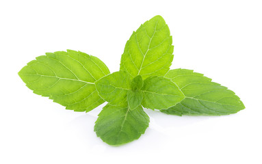 Peppermint on white background