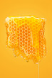 Sweet honeycomb on yellow