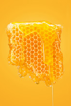 Sweet Honeycomb On Yellow