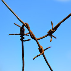 Barbed wire on the cloudless sky background. Close-up