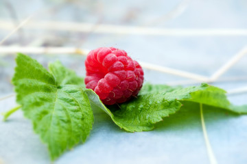 One raspberry on a leaf