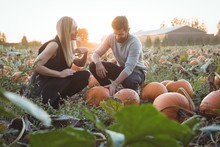 Couple Checking Pumpkin