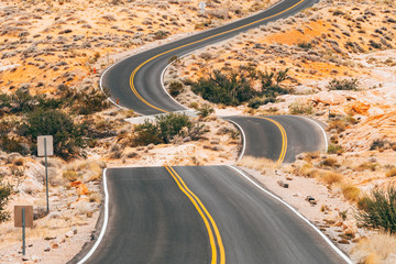 Wall Mural - amazing road crossing valley of fire national park, nevada