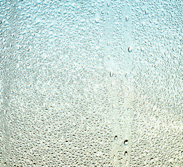 Wall Mural - water drops on window glass