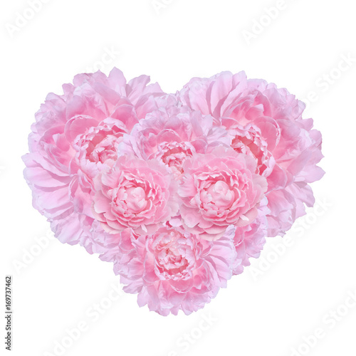 peony flowers in the shape of heart