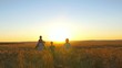 © julia_diak - Happy family is walking along a wheat field on a sunset background
