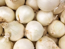 Raw White Onions At The Market