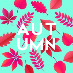 Wall Mural - Fashionable modern autumn background with bright autumn leaves for design of posters, flyers, banners.  Vector illustration