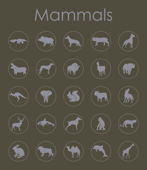 Wall Mural - Set of mammals simple icons