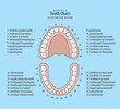 Tooth chart with number illustration vector on blue background. Dental concept.