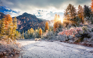 Wall Mural - First snow in Naturpark Fanes-Sennes-Prags.