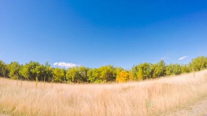 Aufkleber - State Park