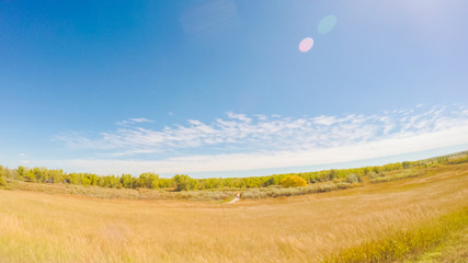 Aufkleber - State Park