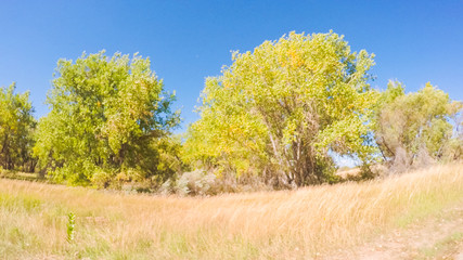 Aufkleber - State Park