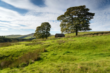 Sticker - Wildboarclough in the Peak District