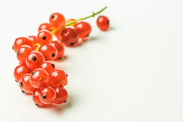 Wall Mural -  Red currants on a table