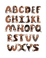 Alphabet Letters In Shape Of Dogs