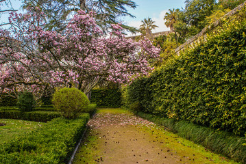 Sticker - Botanical Garden, Coimbra, Portugal