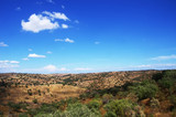 Fototapeta Dziecięca -  typical dry landscape of Alentejo region,south of Portugal