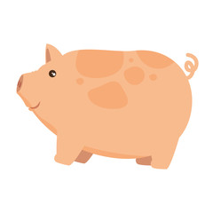 Canvas Print - farm pig isolated icon vector illustration design