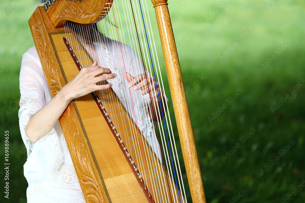 アルパ インディアンハープ(パラグアイ製)