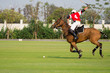 Polo Horse Sport Player using a Mallet