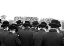 Jews, Jewish, Judaism, Hasidim,prayer, Back, Behind