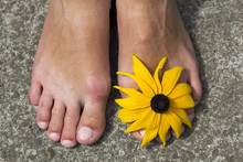Close-up Of Woman Feet With Flower Between Toes