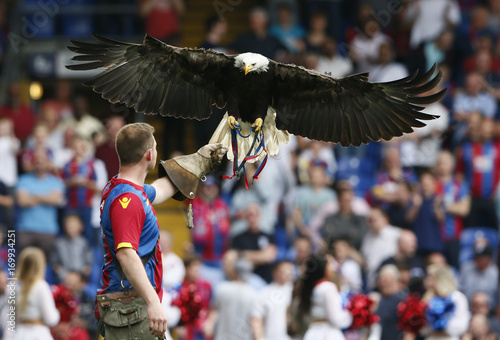 Crystal Palace V Stoke City Barclays Premier League Buy