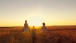 © julia_diak - happy family is walking along the wheat field at sunset.