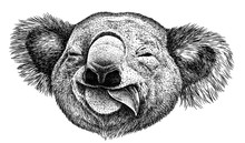 Black And White Engrave Isolated Koala Illustration