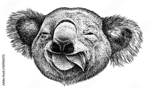 Foto-Plissee zum Schrauben - black and white engrave isolated Koala illustration (von Turaev)