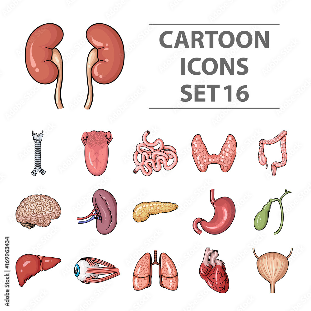 Human organs set icons in cartoon style. Big collection of human organs ...