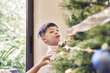 Boy Fiddling With Christmas Tree