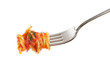 Fresh spaghetti on a fork