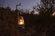 © Trent Lanz/Stocksy - Gasoline lantern on bar in prairie