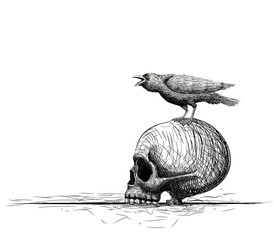 Wall Mural - raven bird perch on skull. isolated on white. Hand drawing vector art. Sketch vector illustration. line art composition.