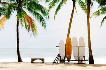 Wall Mural - surfboard and palm tree on beach background.