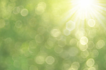 Copy Space Of Nature Green Bokeh Sun Light Flare And Blur Leaf Abstract Texture Background.