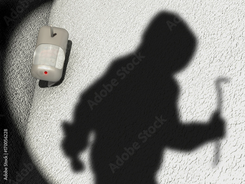 Fotomural Motion Detector and shadow of a robber in a garden scenario, 3D Illustration