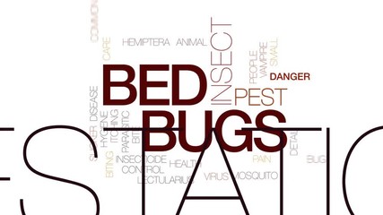 Poster - Bed bugs animated word cloud, text design animation. Kinetic typography.