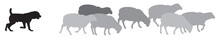 Sheep With Shepherd Dog Silhouettes, A Guard Sheepdog Protects A Flock Of Sheep From Predators, Livestock Guardian Dog (LGD), A Type Of Pastoral Dog Bred Vector Illustration